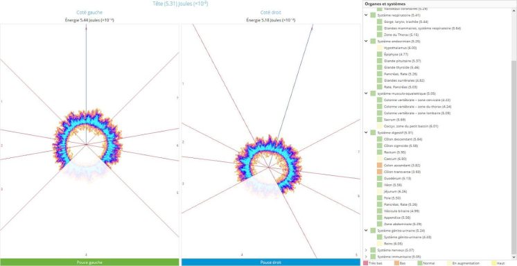 analyse organes