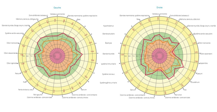 visualisation mesure organes