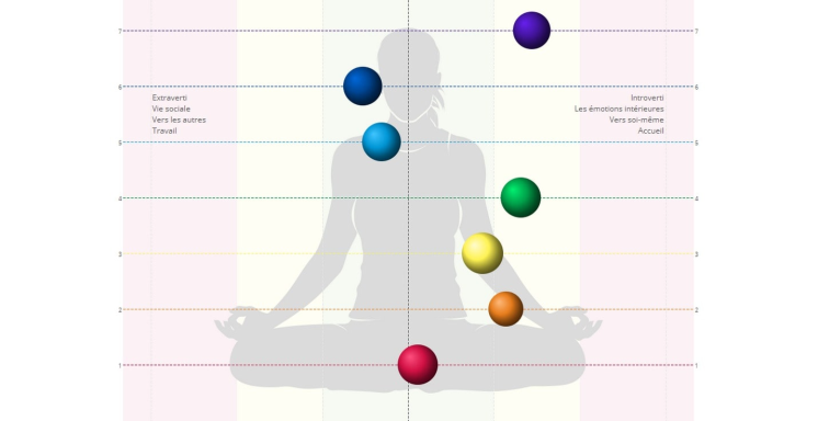 Évaluation des Chakras (alignés ou non).